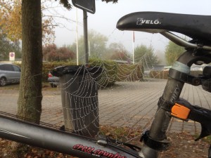 B. Müller, 09.10.2014